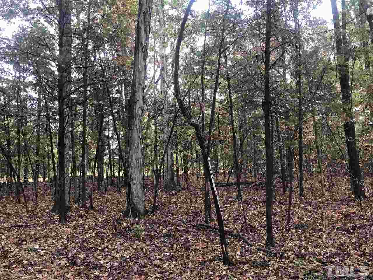 7655 Old Graham Road Pittsboro, NC 27312 - Photo 4 of 6 Gallery Image 4