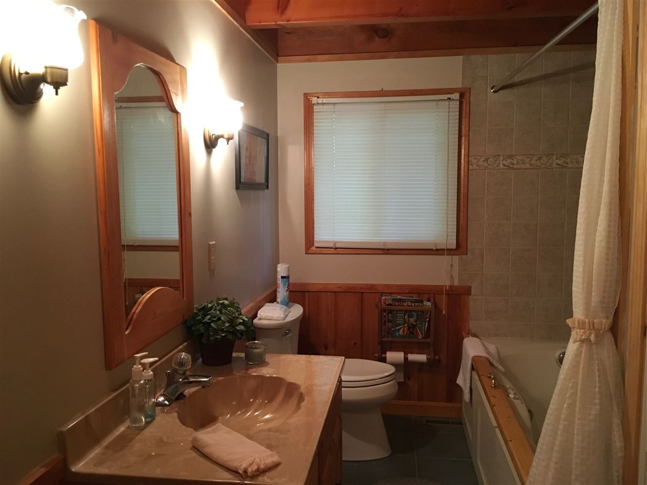 27 Black Cove Road Wakefield, NH 03872 - Photo 9 of 25