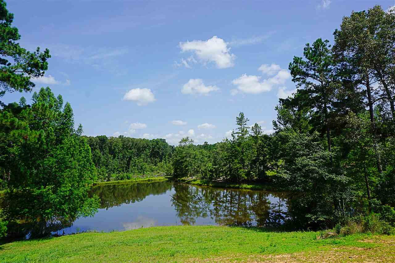 1601 Cooper Road Carthage, MS 39051 - Photo 36 of 49 Pond Stocked w/ Fish