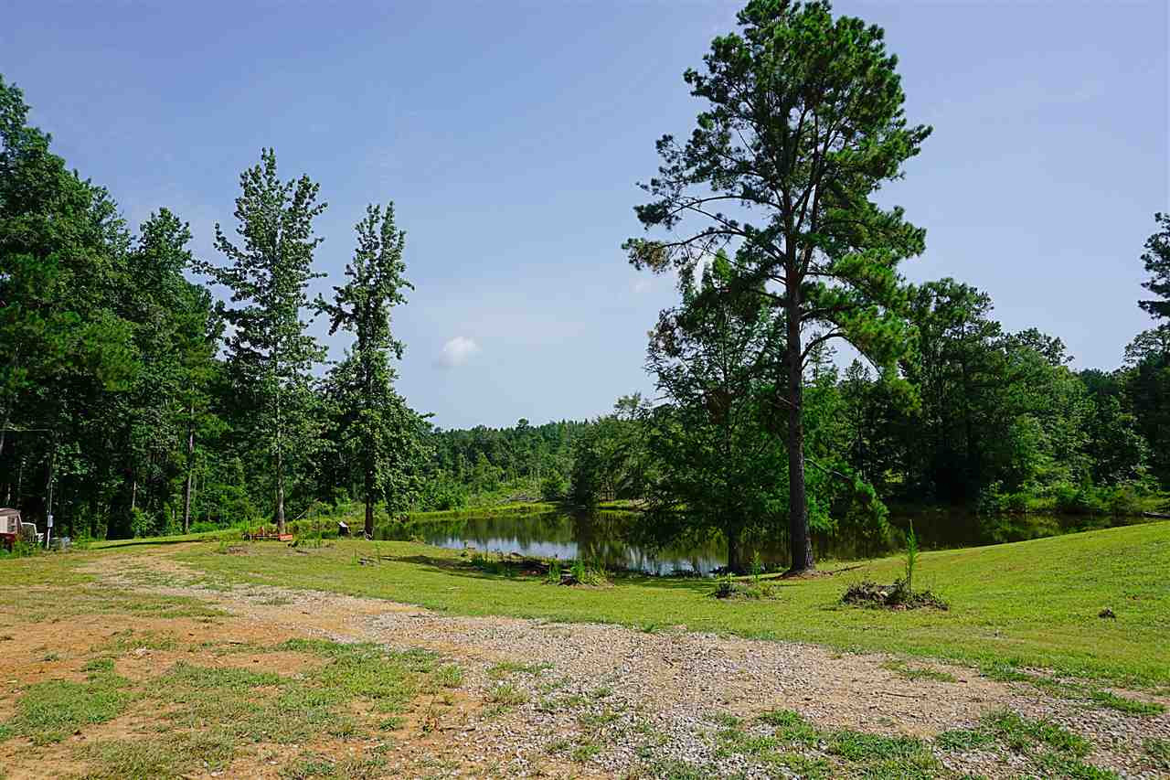 1601 Cooper Road Carthage, MS 39051 - Photo 41 of 49 Country Living
