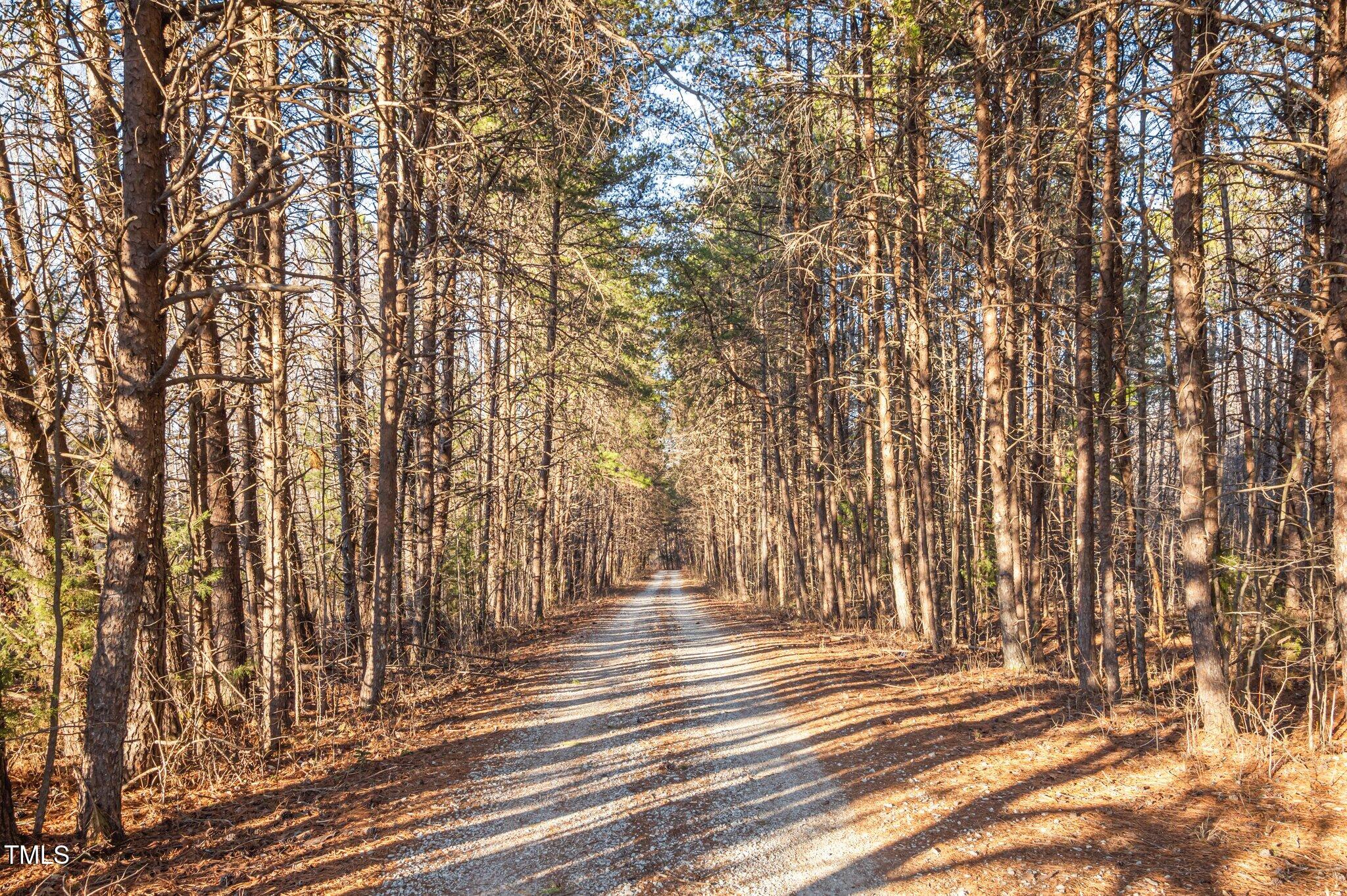 149 Michael Jones Road Roxboro, NC 27574 - Photo 26 of 32 a view of outdoor space with trees