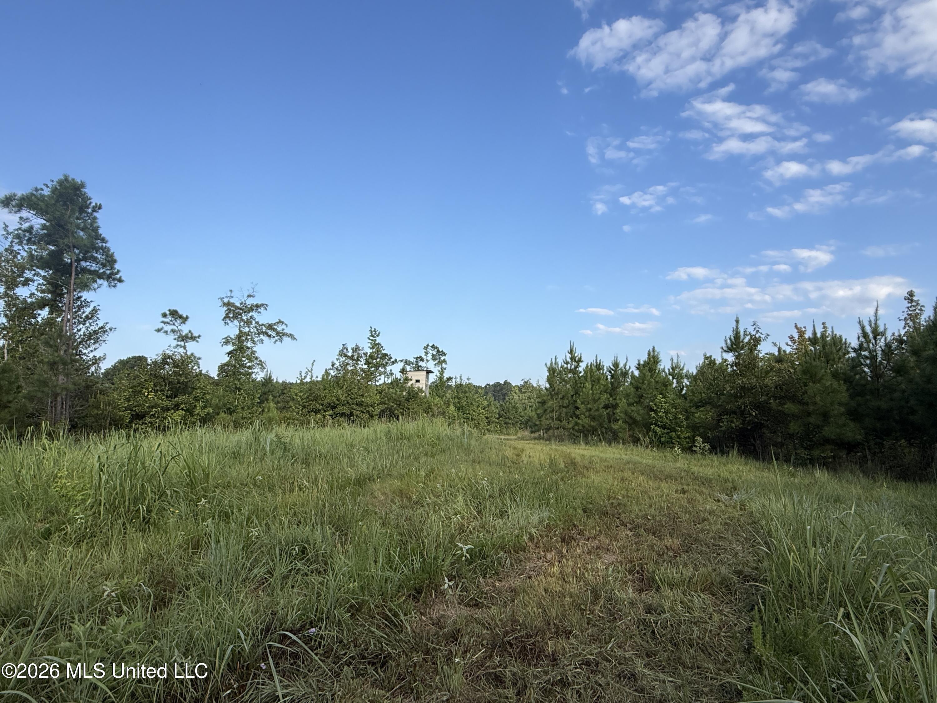 4102 Co Road Sallis, MS 39160 - Photo 1 of 35 1