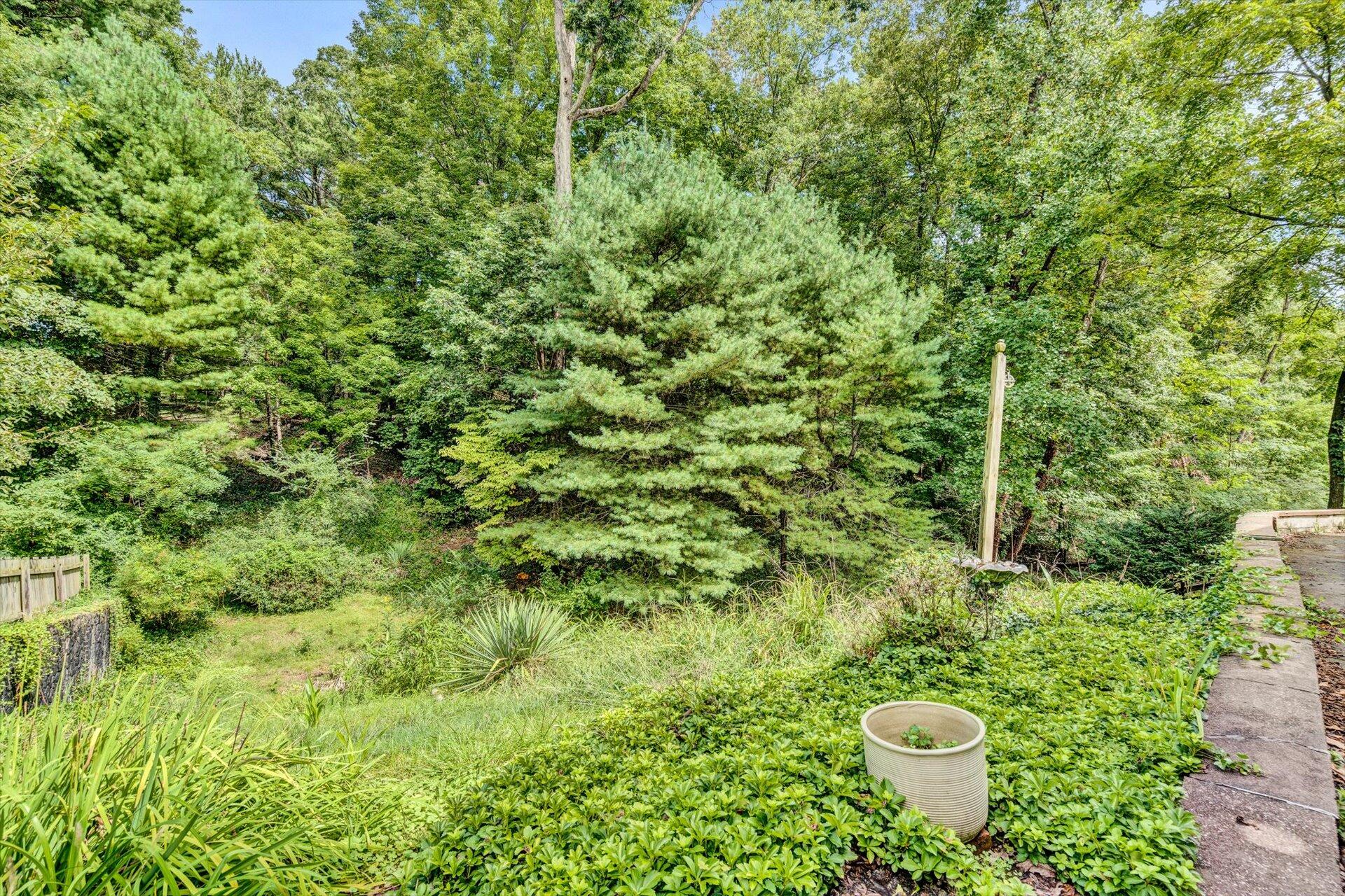 3530 Wright Road Southwest Roanoke, VA 24015 - Photo 21 of 25 21-090820220019