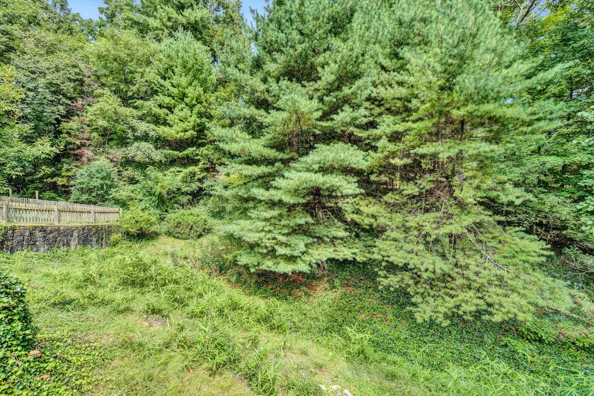 3530 Wright Road Southwest Roanoke, VA 24015 - Photo 24 of 25 24-090820220022
