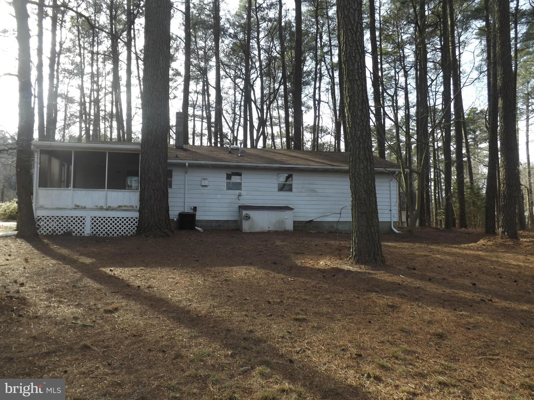 Exterior (Rear)