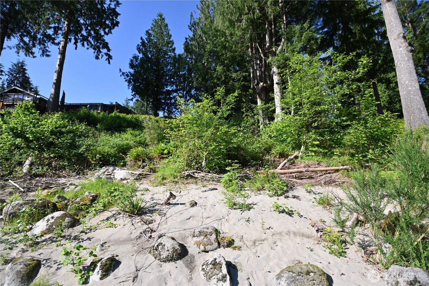44725 Fir Road Gold Bar, WA 98251 - Photo 12 of 17 a view of a garden with plants