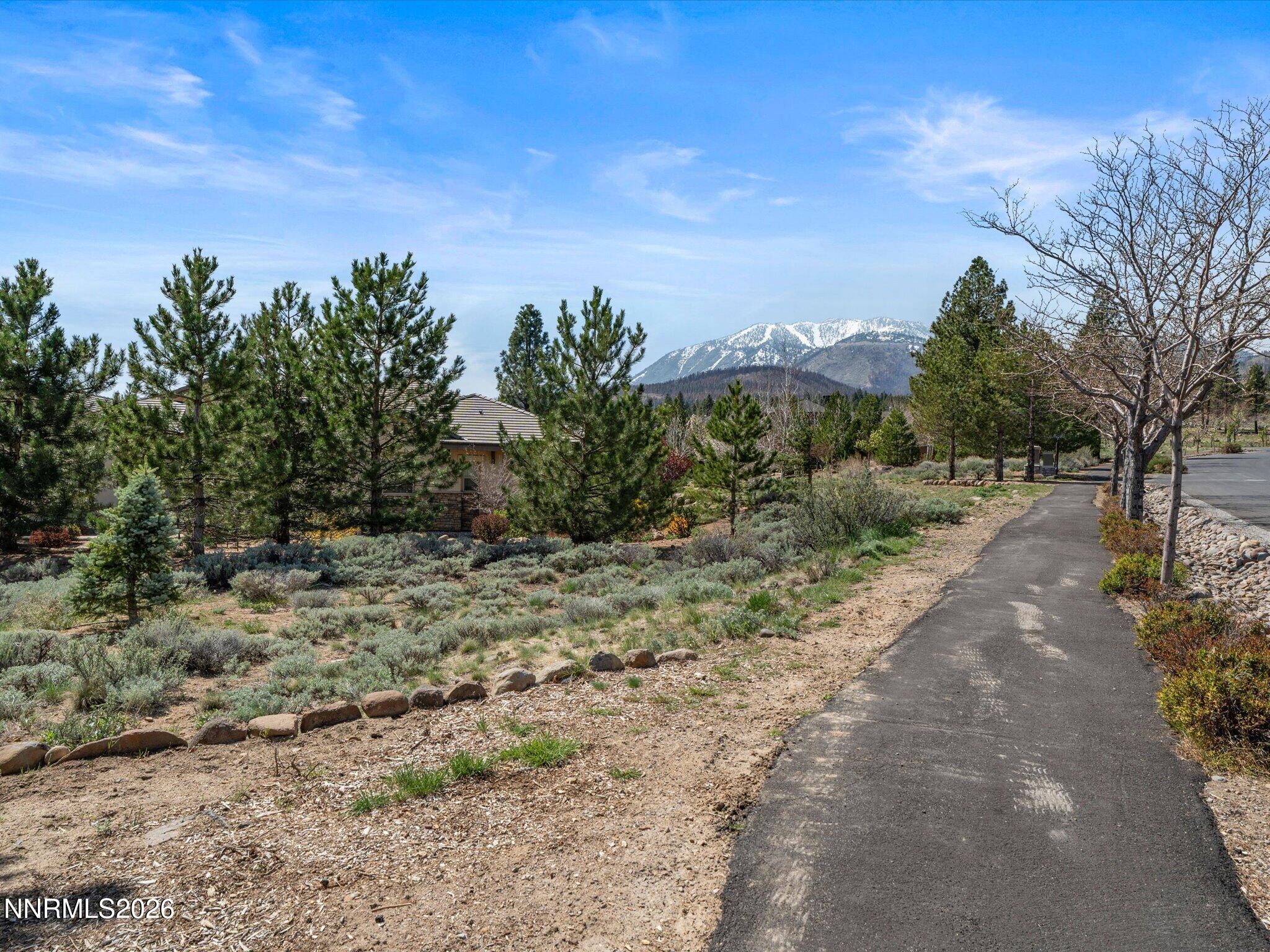 201 South Argyle Court Reno, NV 89511 - Photo 81 of 95 a view of a yard with a tree