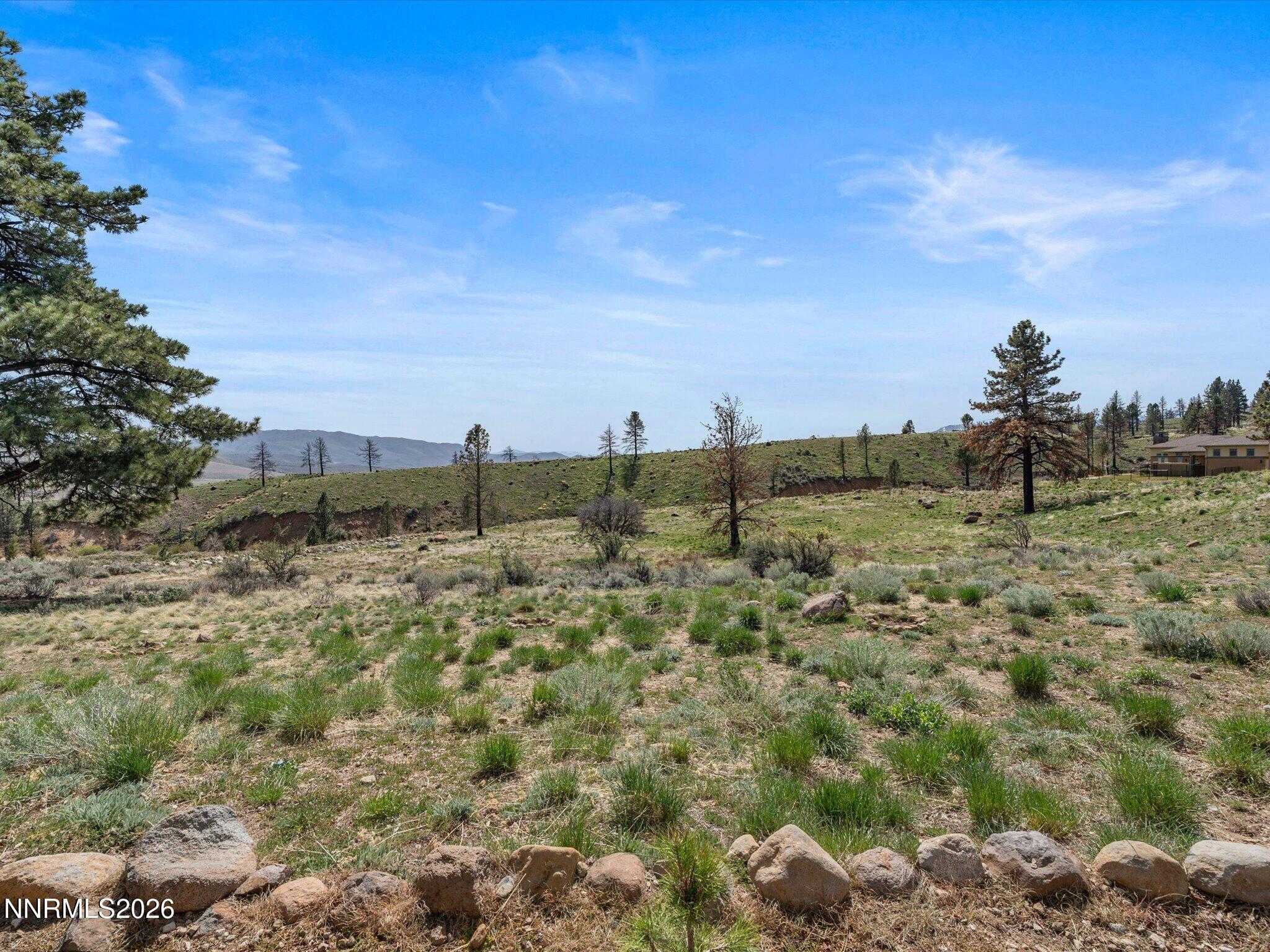 201 South Argyle Court Reno, NV 89511 - Photo 87 of 95 a view of a bunch of trees in a field