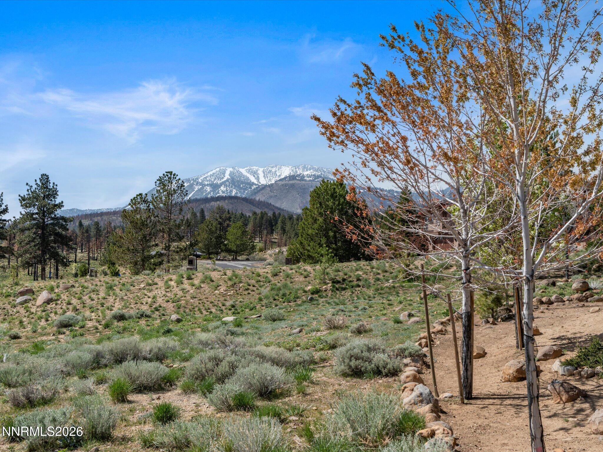 201 South Argyle Court Reno, NV 89511 - Photo 88 of 95 a view of a dry yard with trees in the background