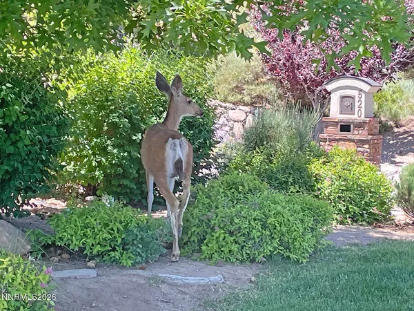 $2,490,000 | 201 South Argyle Court, Reno, NV 89511