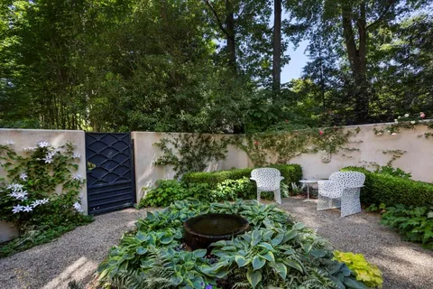 a view of a garden with plants and large trees