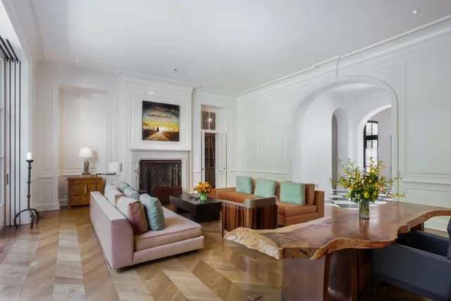 a living room with furniture potted plant and a fireplace