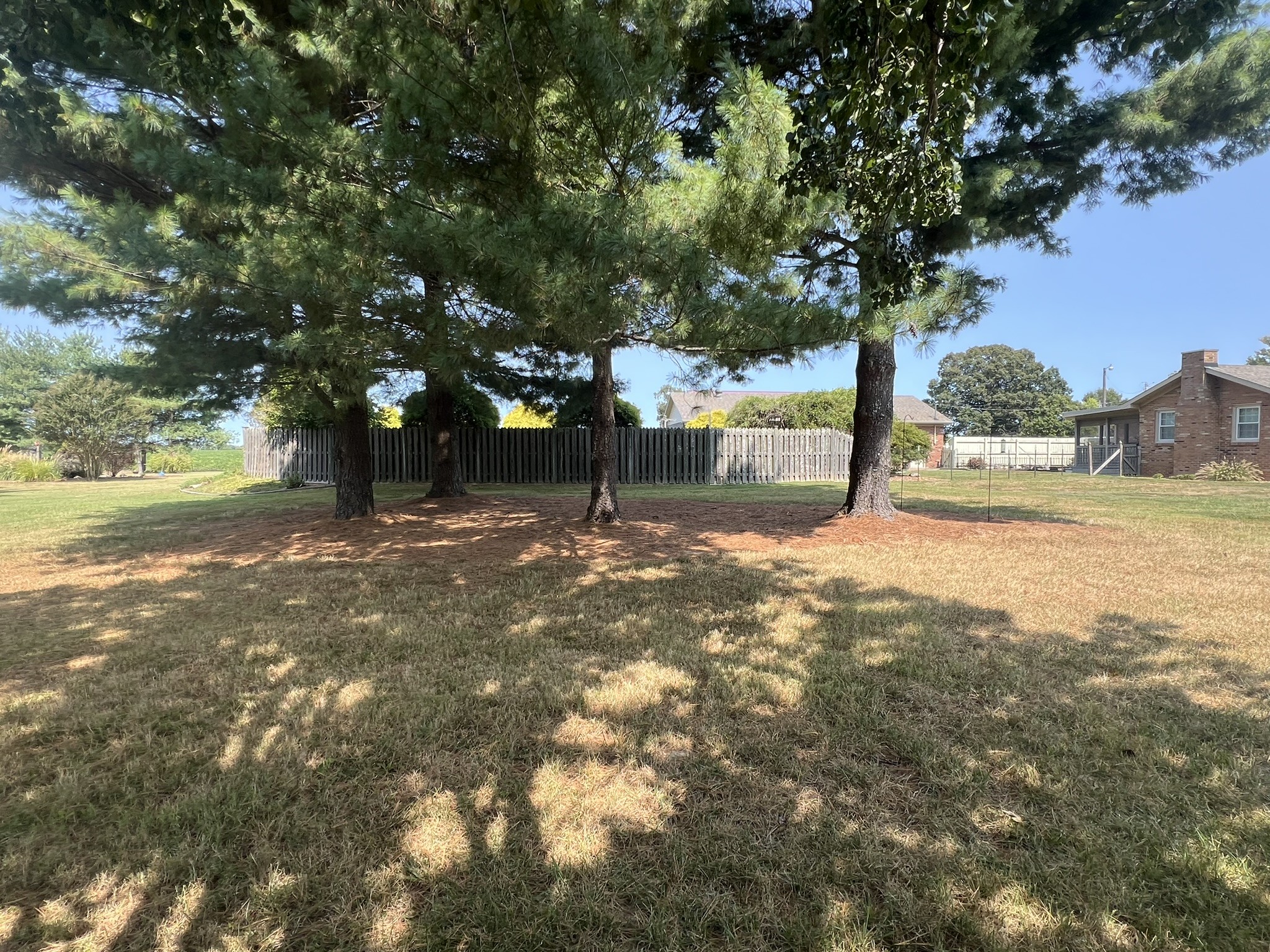 676 Old Gallatin Road Portland, TN 37148 - Photo 11 of 54 a view of a yard with trees