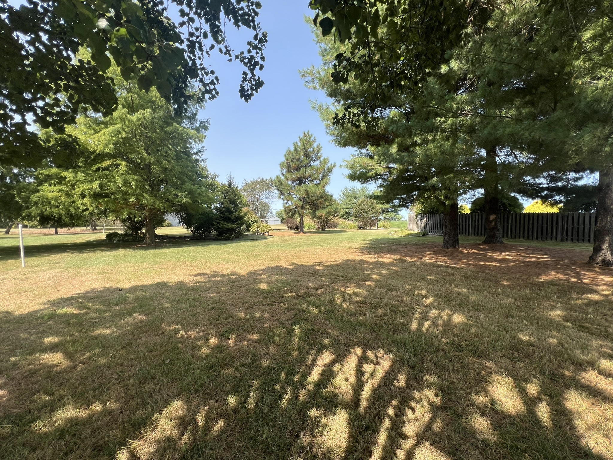 676 Old Gallatin Road Portland, TN 37148 - Photo 12 of 54 a view of yard with green space and trees in the background