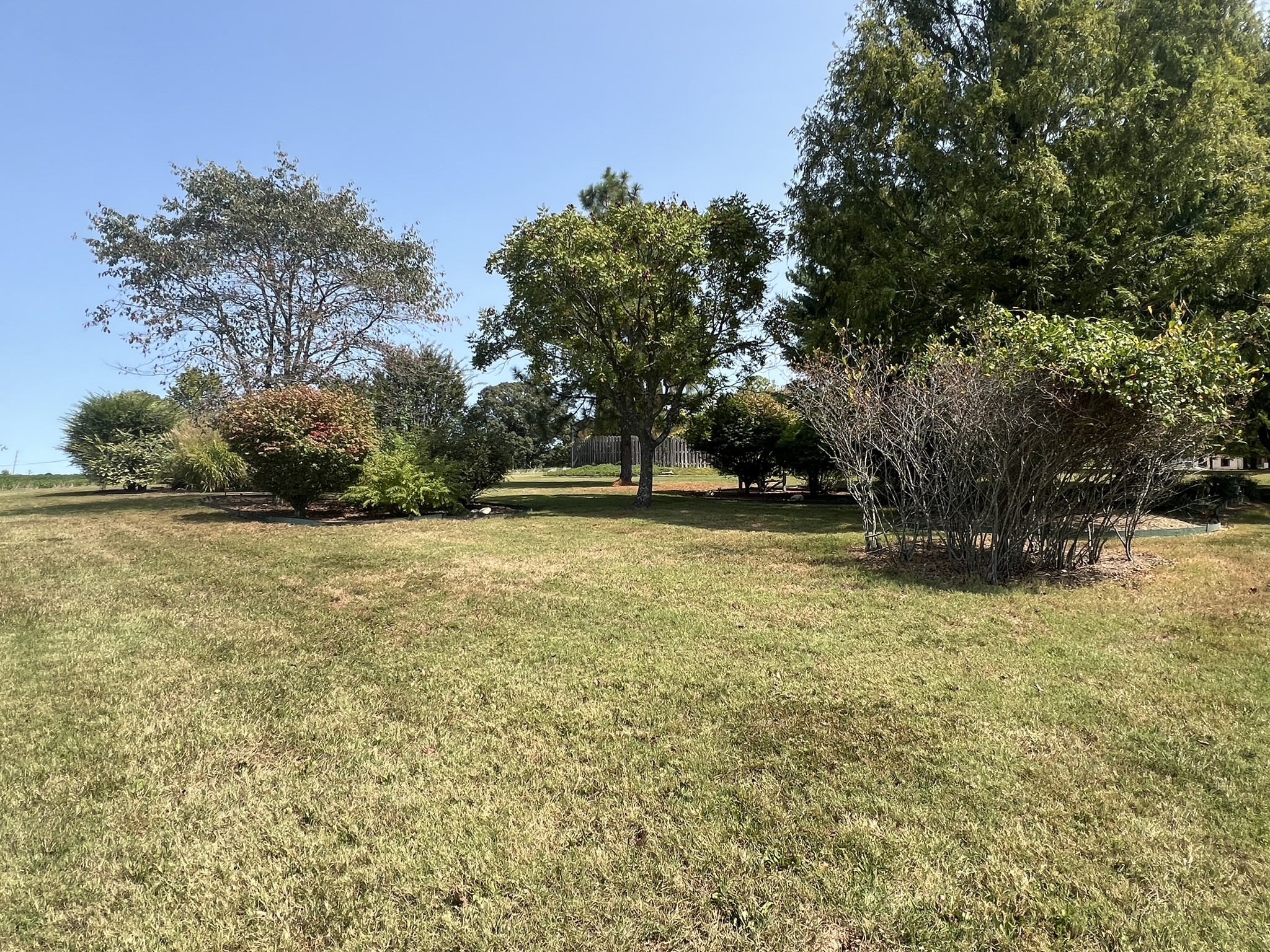 676 Old Gallatin Road Portland, TN 37148 - Photo 14 of 54 a yard with a trees