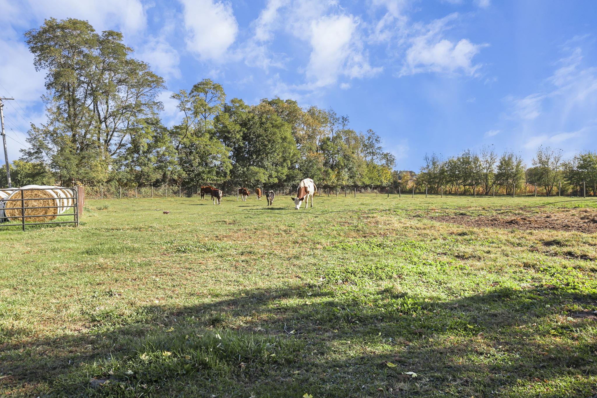10819 Highway 14 Brooklyn, WI 53521 - Photo 47 of 54
