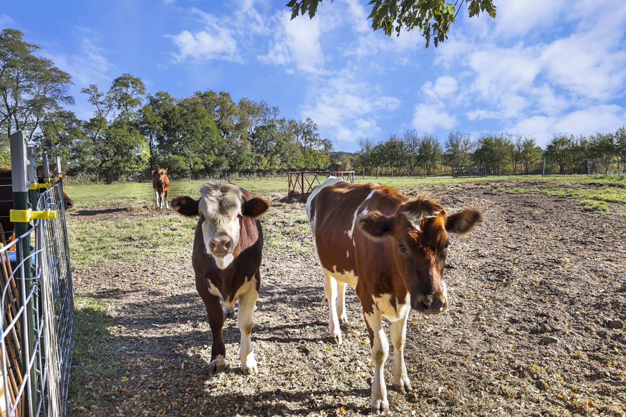 10819 Highway 14 Brooklyn, WI 53521 - Photo 48 of 54