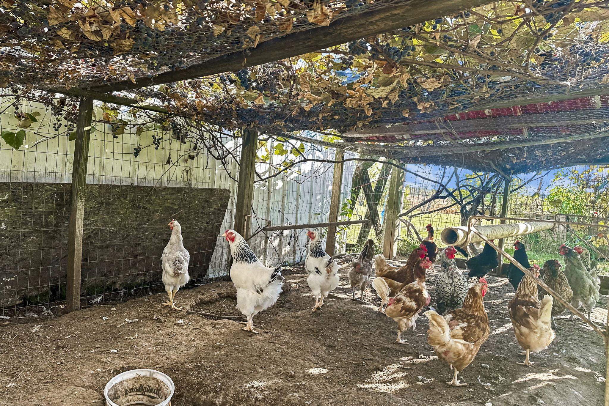 10819 Highway 14 Brooklyn, WI 53521 - Photo 49 of 54