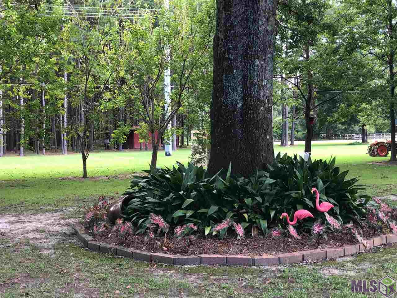 25346 Spillers Ranch Road Denham Springs, LA 70726 - Photo 20 of 28