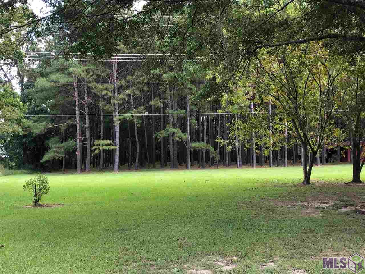 25346 Spillers Ranch Road Denham Springs, LA 70726 - Photo 22 of 28
