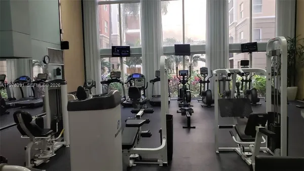 a view of a lake with palm trees