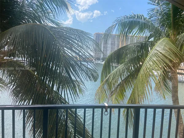 a view of a palm plant from a balcony