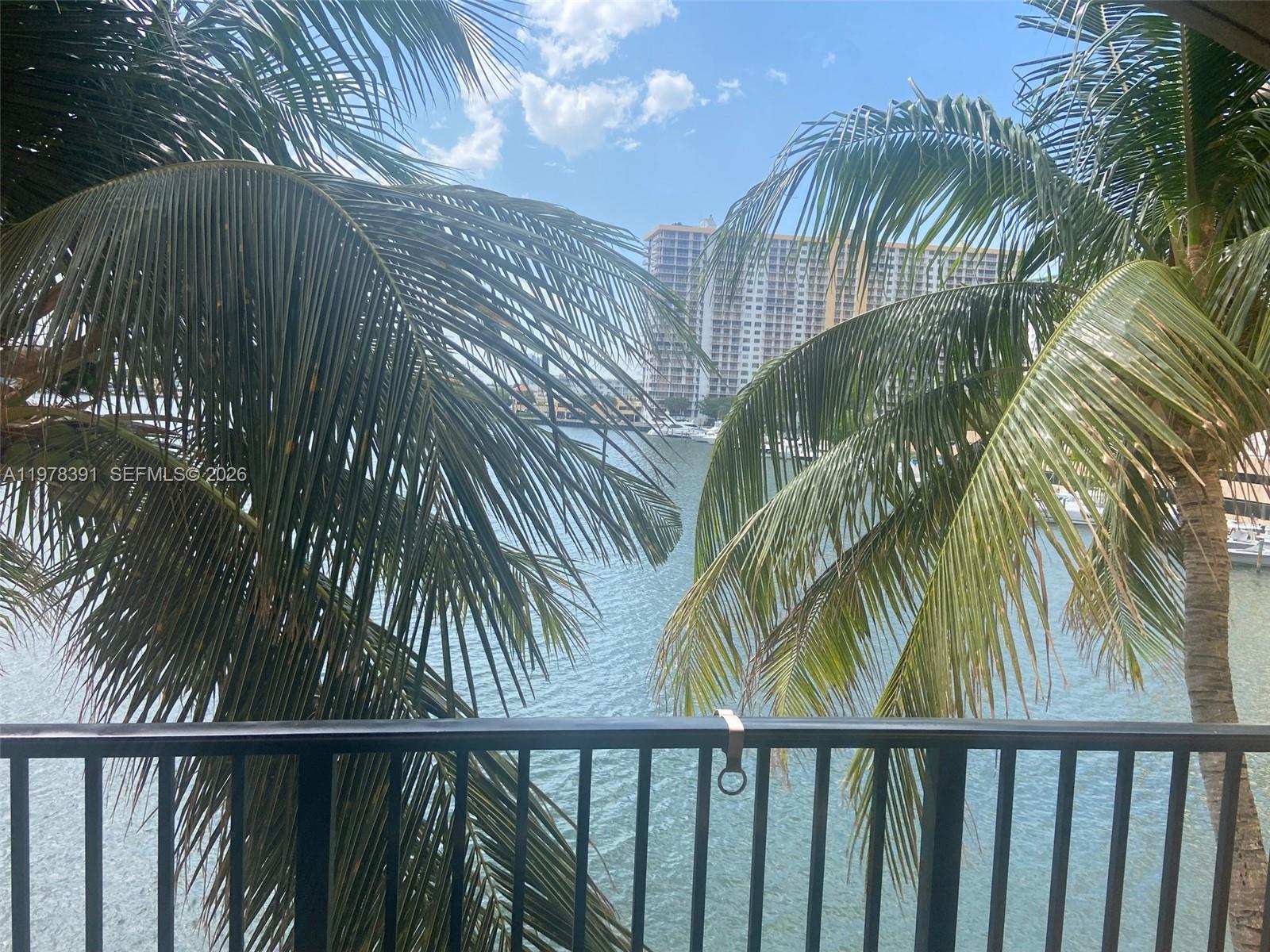 17150 North Bay Road, Unit 2406 Sunny Isles Beach, FL 33160 - Photo 2 of 22 a view of a palm plant from a balcony