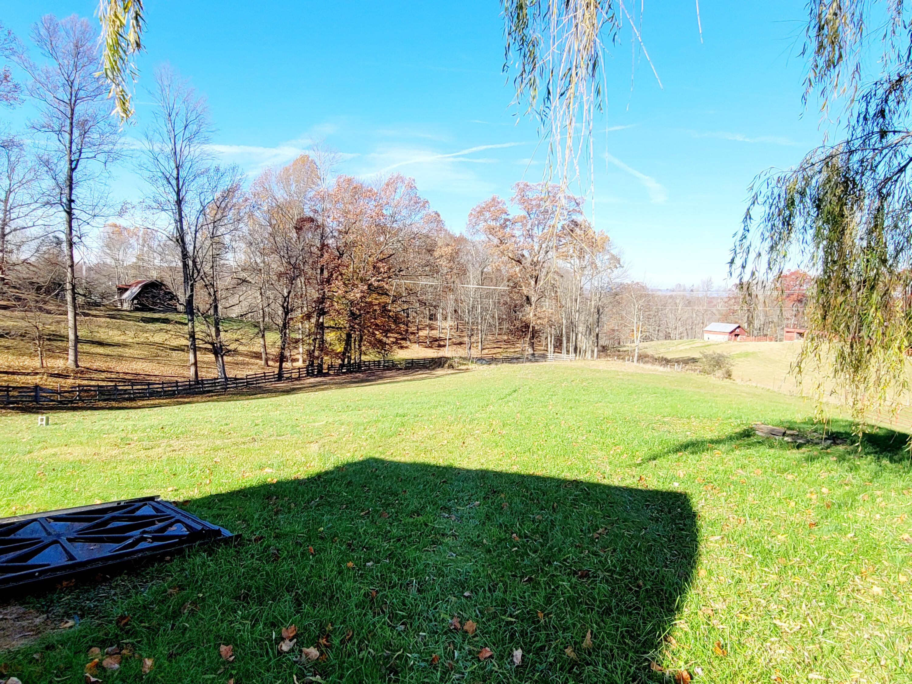 3350 DC Caney Ridge Road Clintwood, VA 24228 - Photo 10 of 28 20211117_141129