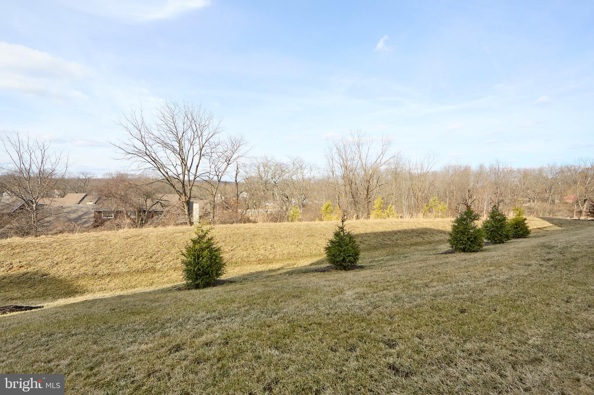 463 Paperbark Square Downingtown, PA 19335 - Photo 28 of 31