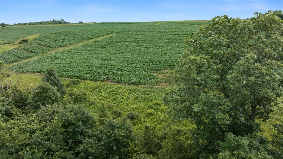 0 North Lyster Road Readstown, WI 54652 - Photo 18 of 30 20