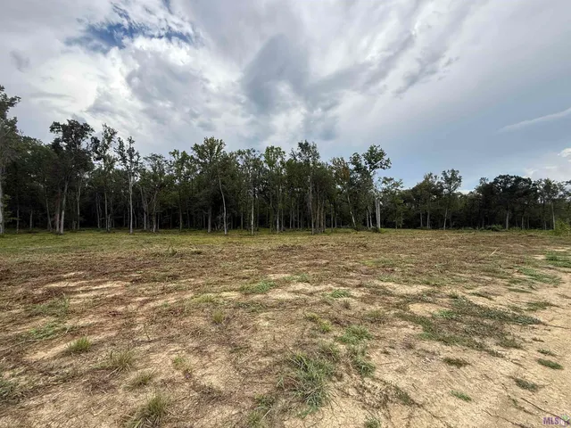 $259,000 | 6-z-1-a Pertuis Road, St. Amant, LA 70774