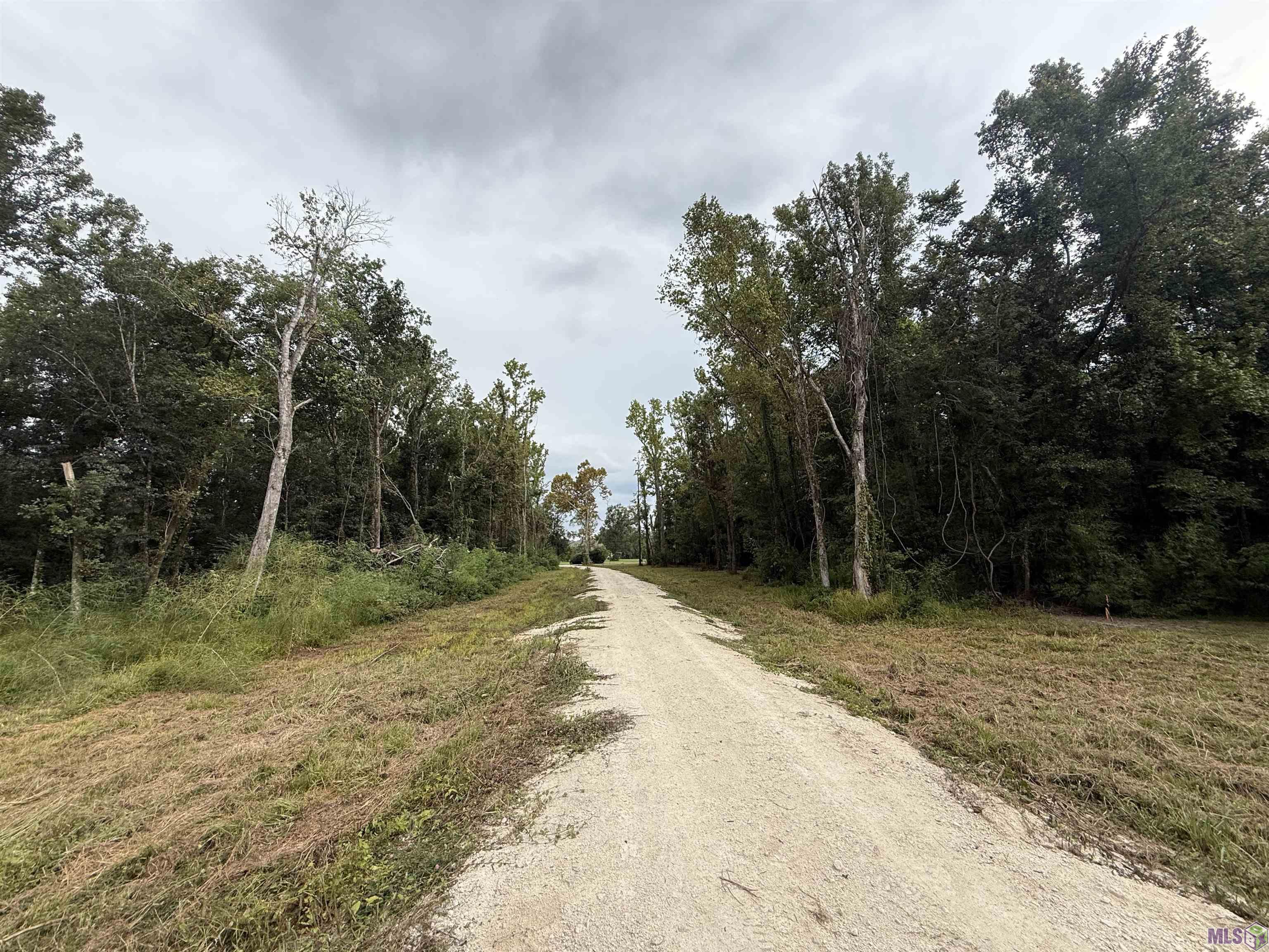 6-z-1-a Pertuis Road St. Amant, LA 70774 - Photo 14 of 16