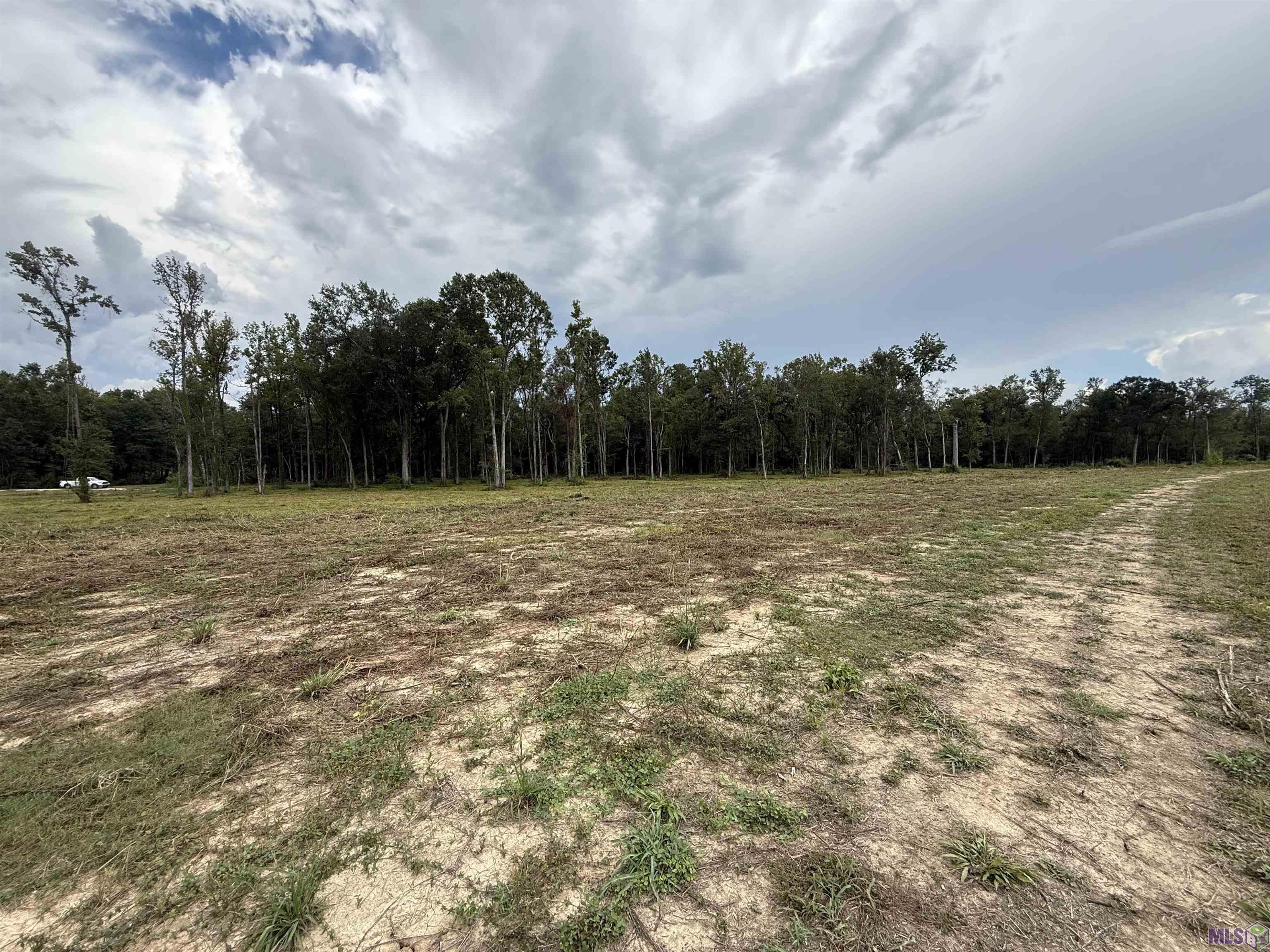 6-z-1-a Pertuis Road St. Amant, LA 70774 - Photo 9 of 16