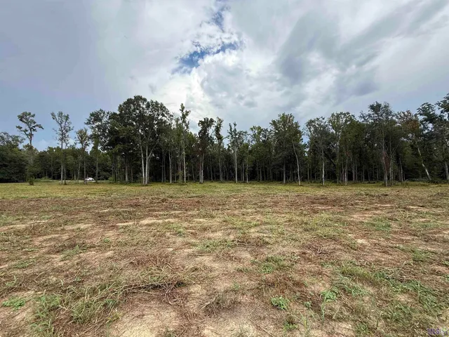 $259,000 | 6-z-1-a Pertuis Road, St. Amant, LA 70774