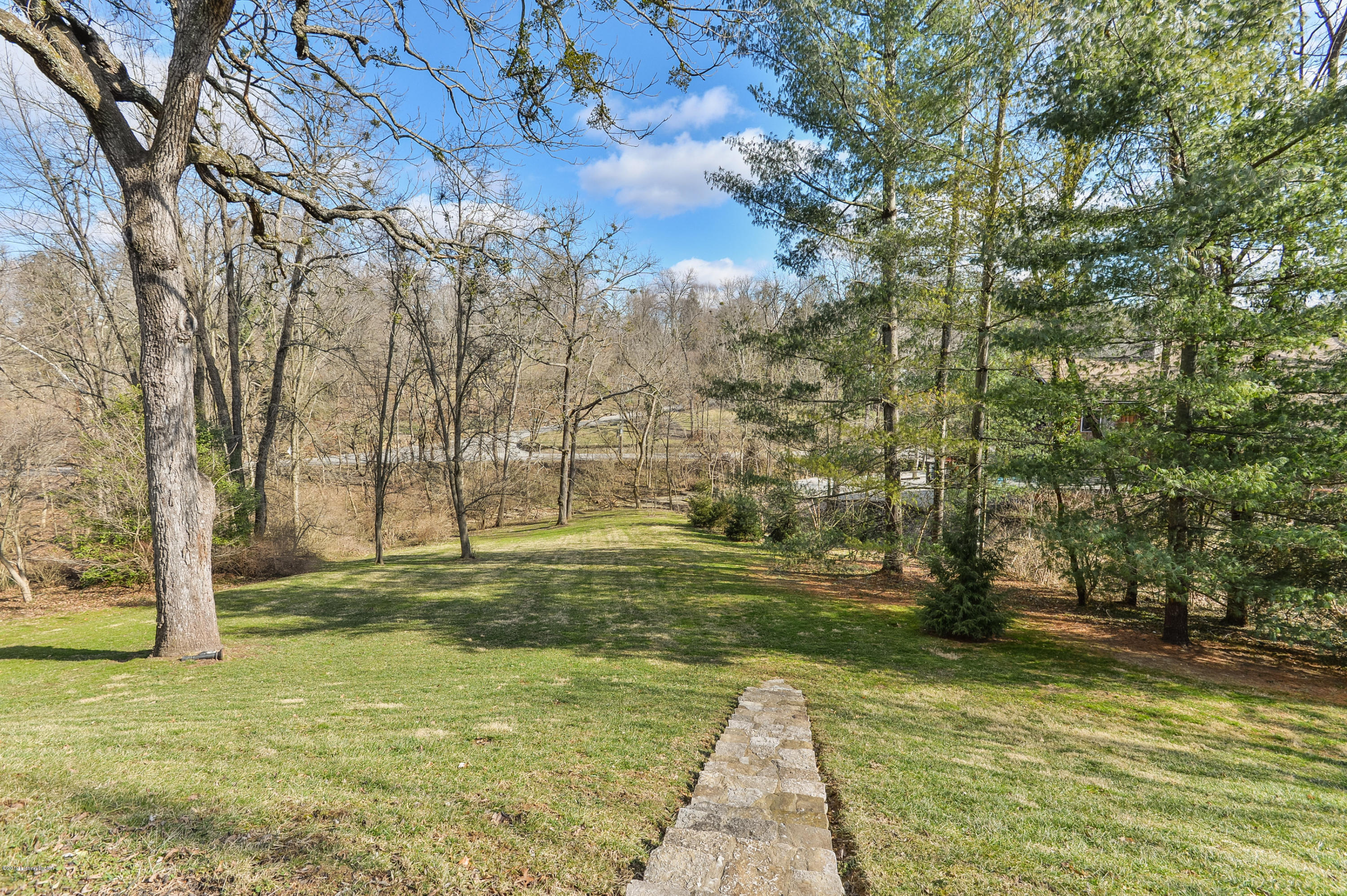 420 Mockingbird Hill Road Louisville, KY 40207 - Photo 62 of 87 088 LSIR 20190129 6761
