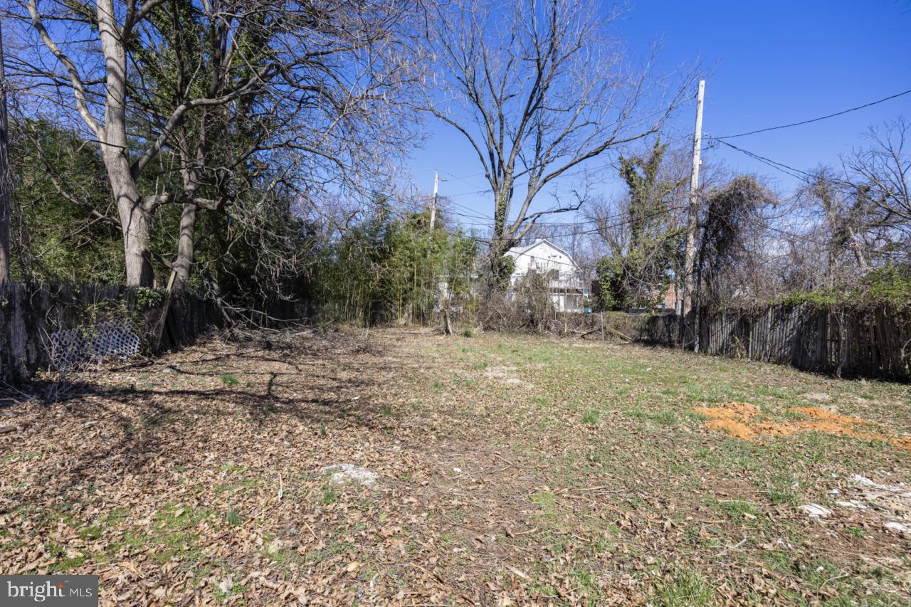 3908 Primrose Avenue Baltimore, MD 21215 - Photo 19 of 19 a view of a yard with trees