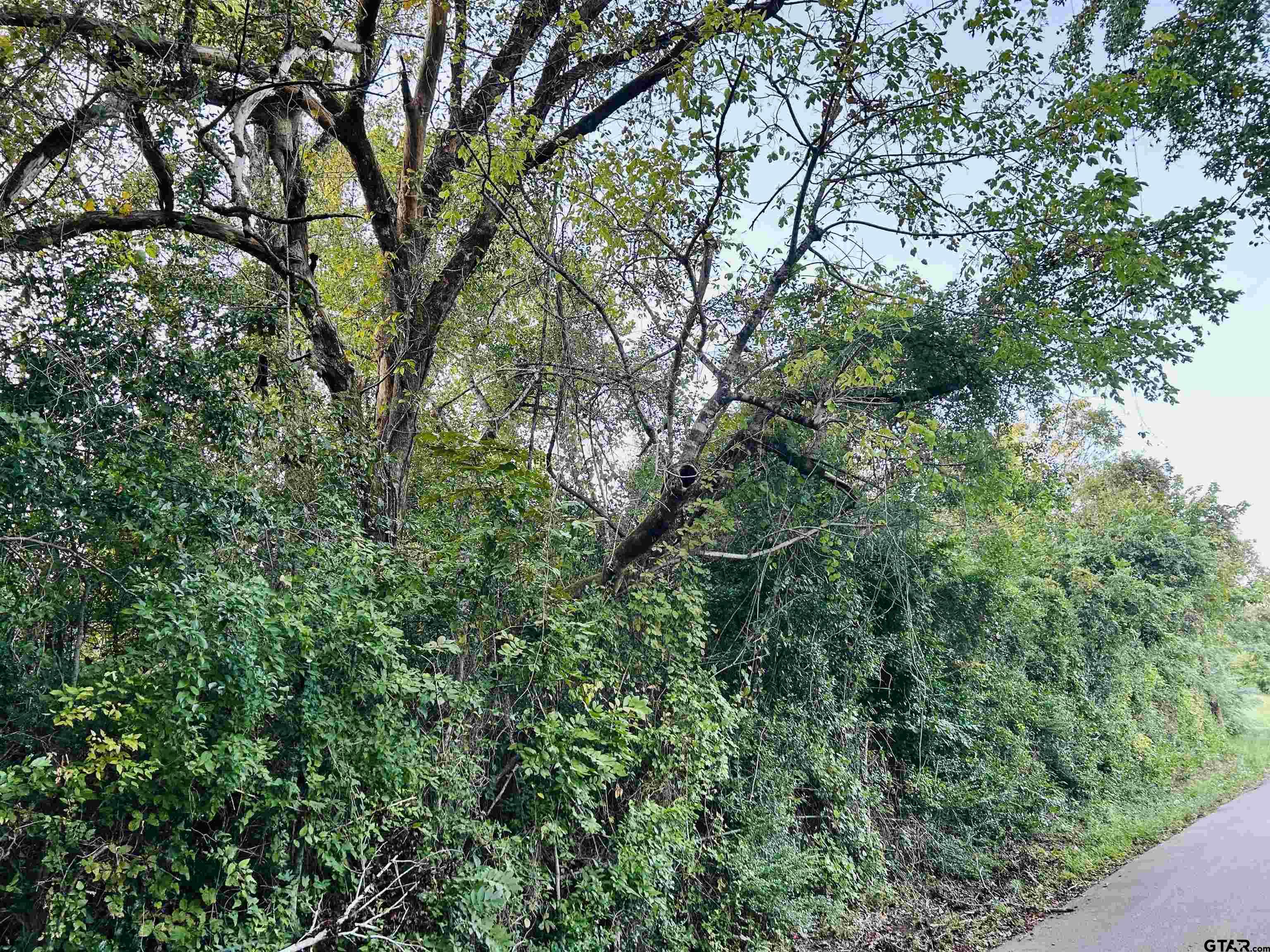 Tbd Jerome Street Rusk, TX 75785 - Photo 1 of 5 a view of a lush green forest