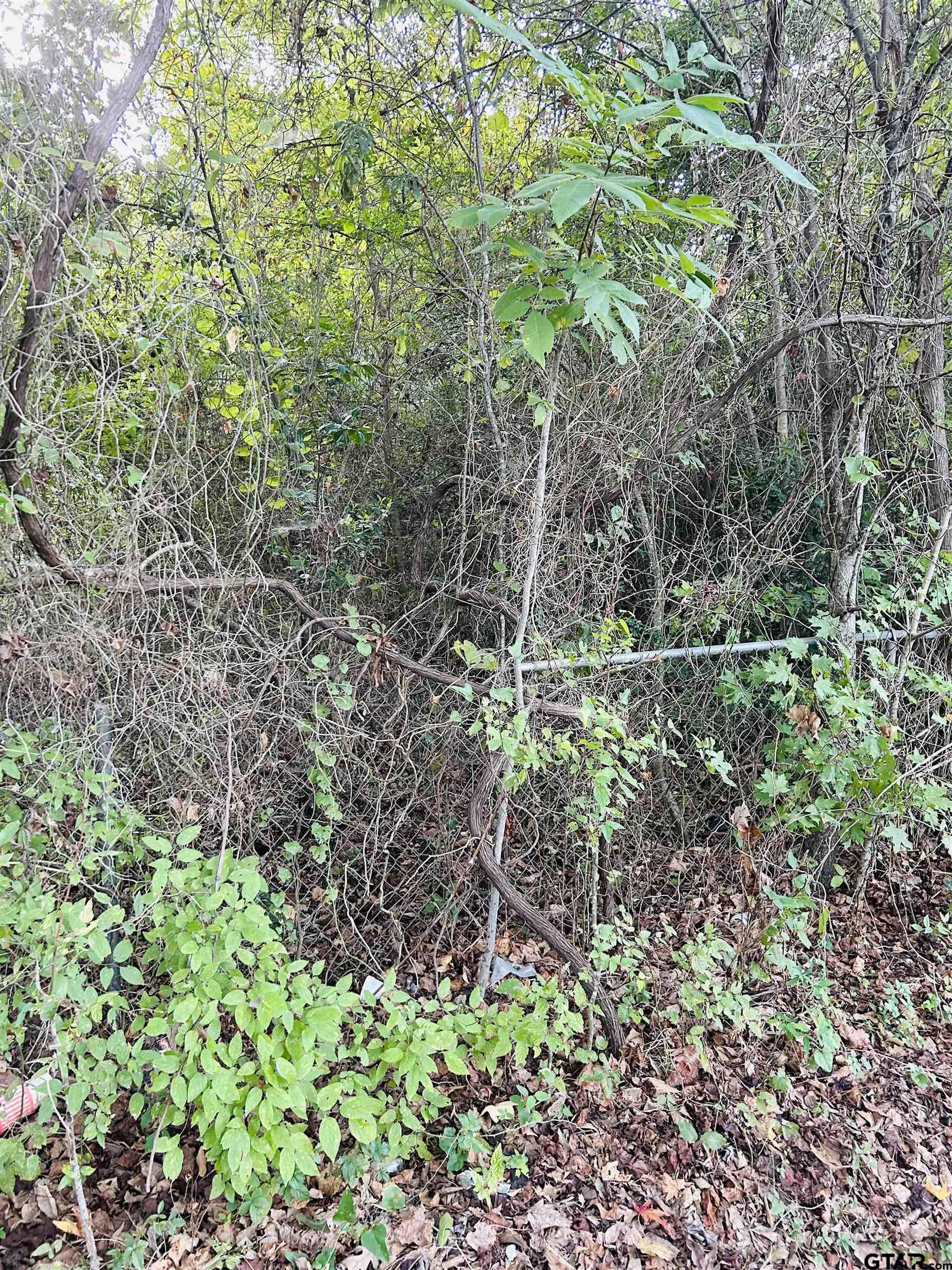 Tbd Jerome Street Rusk, TX 75785 - Photo 3 of 5 a garden view