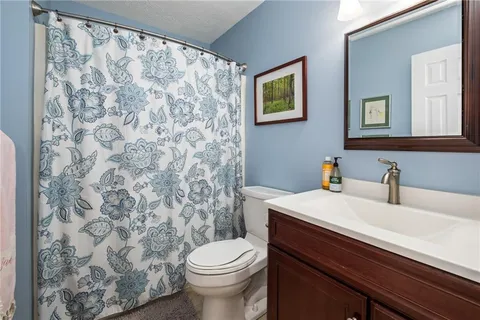 a bathroom with a sink a toilet and a mirror