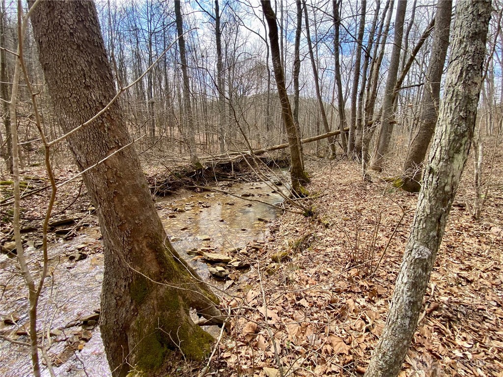20 Beech Fork Road Lucasville, OH 45648 - Photo 9 of 17
