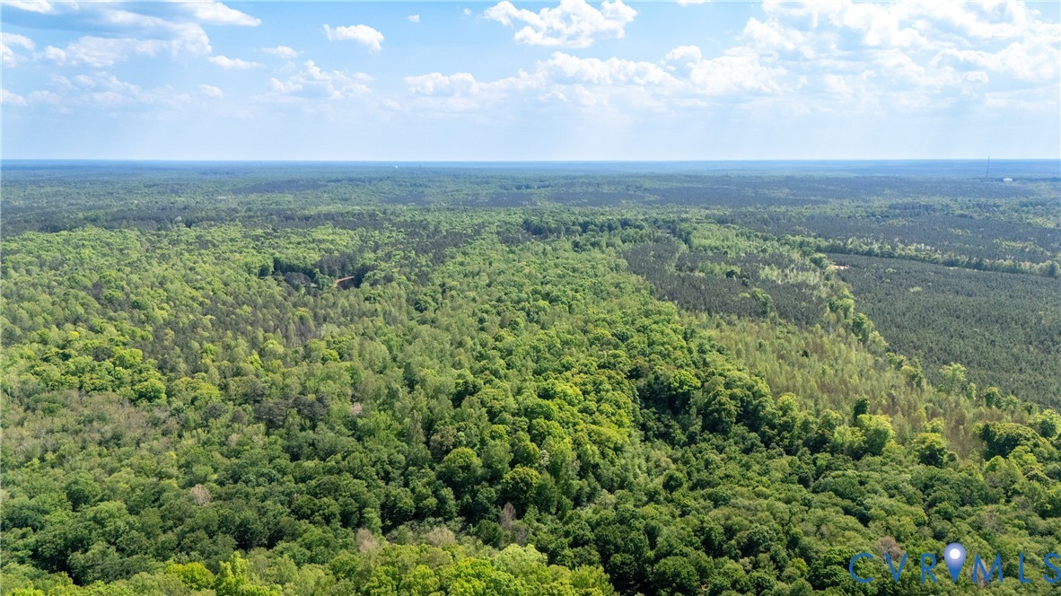 10500 Reedy Branch Road Chesterfield, VA 23838 - Photo 4 of 6