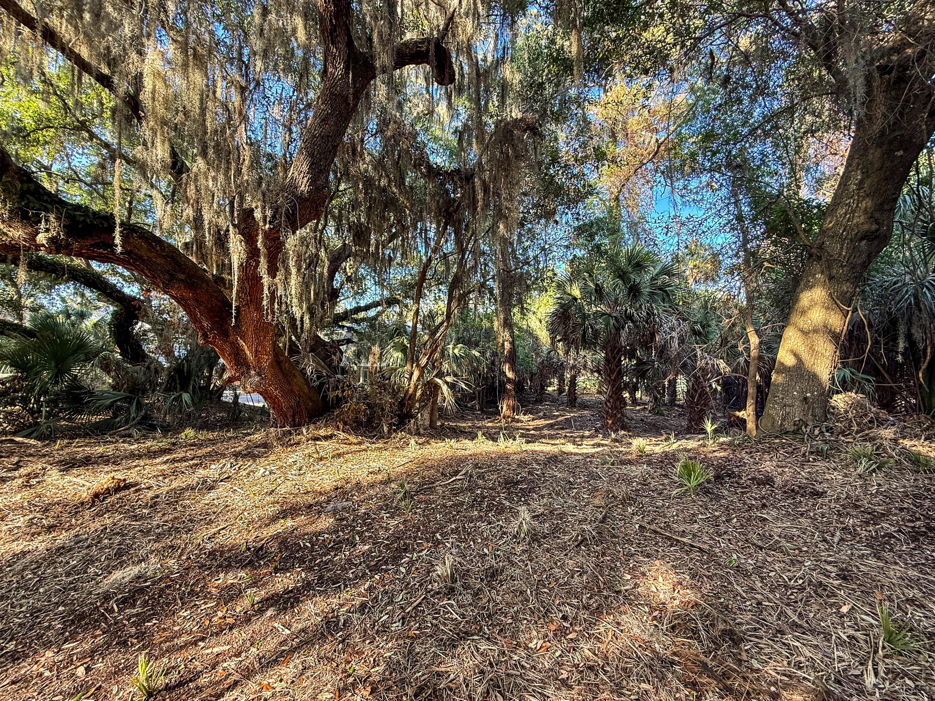 3303 Fort Street Edisto Island, SC 29438 - Photo 2 of 27 Fort-Lot-19