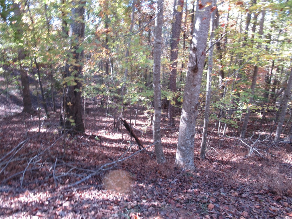 107 North Foxglove Road Westminster, SC 29693 - Photo 11 of 40 Gallery Image 11