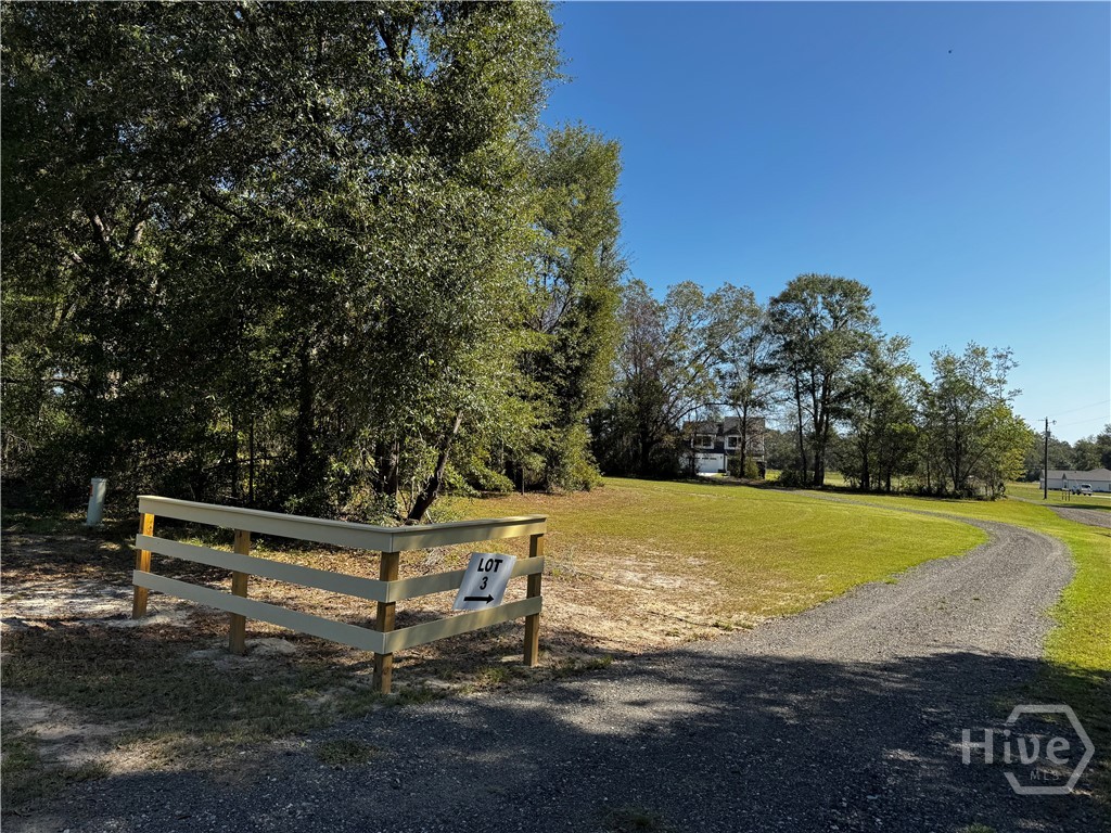 296 Pleasant Hill Road Portal, GA 30450 - Photo 27 of 28 Gorgeous individual entry/drive