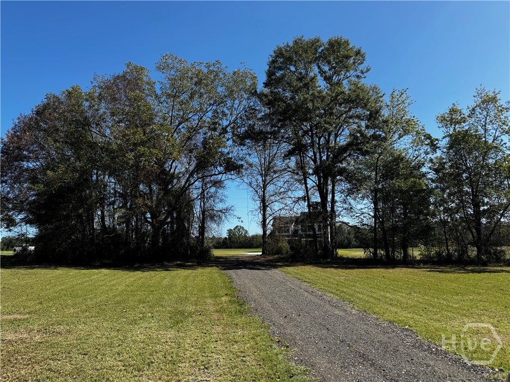 296 Pleasant Hill Road Portal, GA 30450 - Photo 28 of 28 Trees for privacy