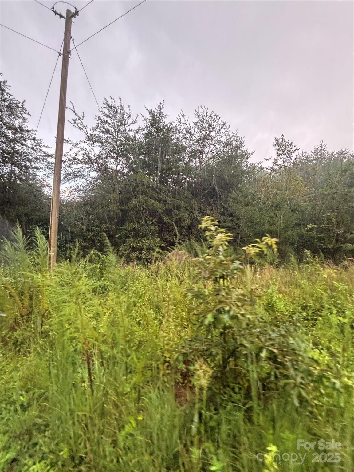 6456 Ridgeview Circle Granite Falls, NC 28630 - Photo 1 of 1 a view of outdoor space and garden