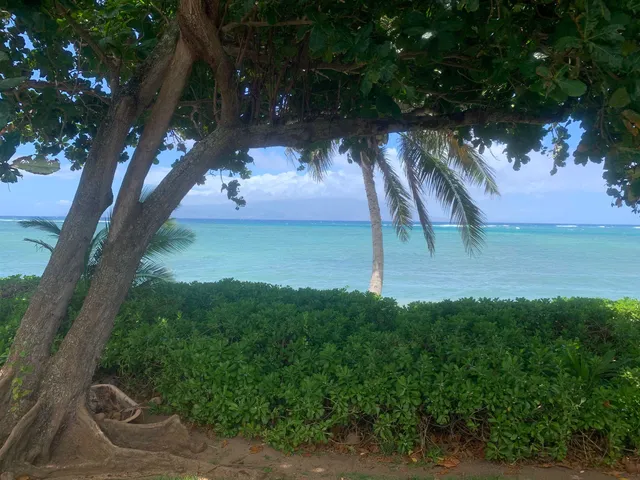 a living room with furniture tv and large window