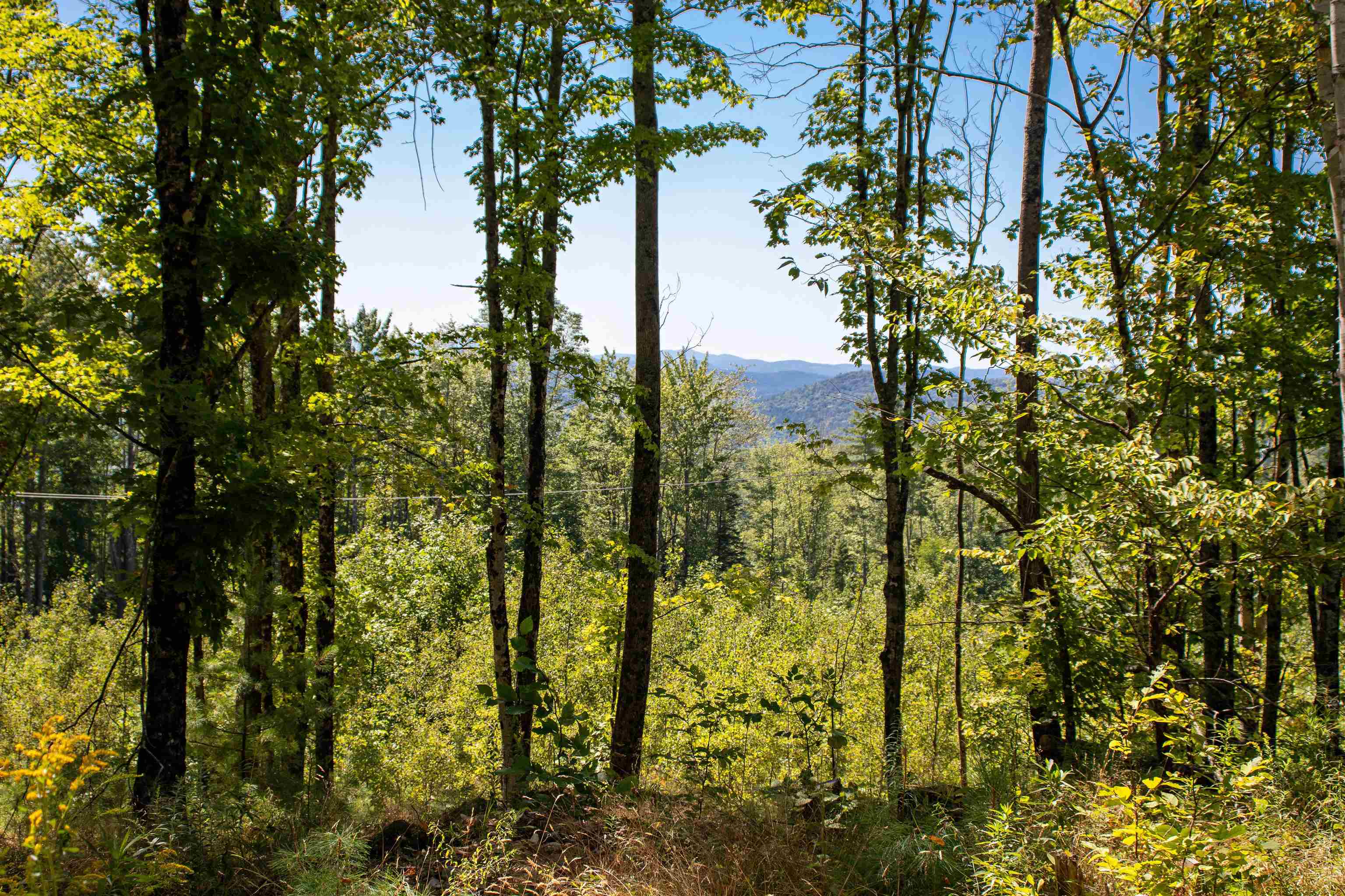 1201 Shadow Lake Road Waterford, VT 05819 - Photo 45 of 58