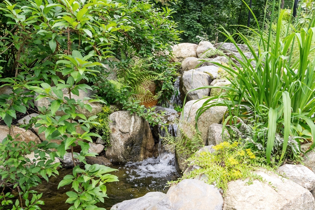 5 Mason Street Lexington, MA 02421 - Photo 28 of 35