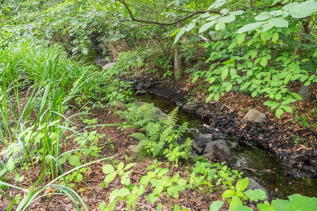 5 Mason Street Lexington, MA 02421 - Photo 31 of 35